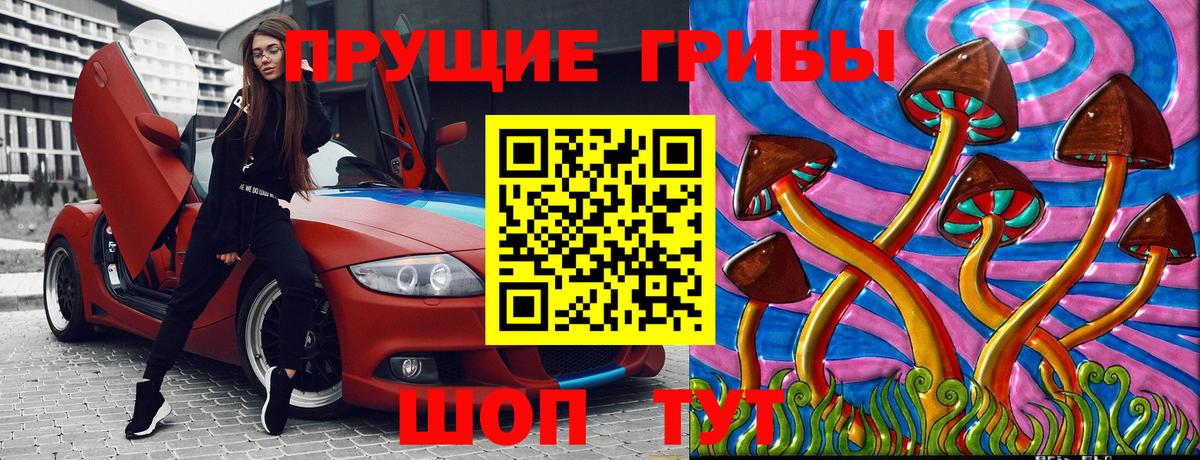 закладки  Вход с VPN  Дзержинский  Галлюциногенные грибы Psilocybine cubensis 